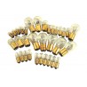 Kit ampoules 64