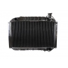 Radiateur 55-60