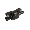 Bobine d'allumage 14-19